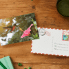 hummingbird-mockup