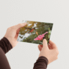 hummingbird-mockup-2