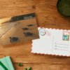 leatherback-turtle-mockup leatherback-turtle-mockup