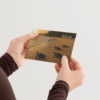 leatherback-turtle-mockup-2 leatherback-turtle-mockup-2