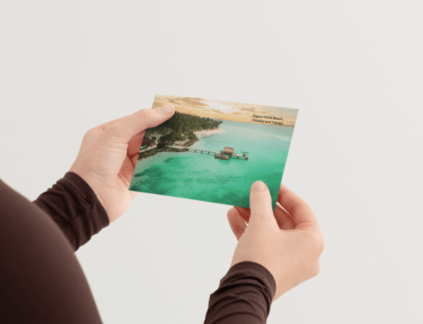 pigeon-point-beach-mockup-2 pigeon-point-beach-mockup-2