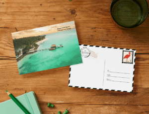 pigeon-point-beach-mockup pigeon-point-beach-mockup