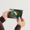 toucan-mockup-2