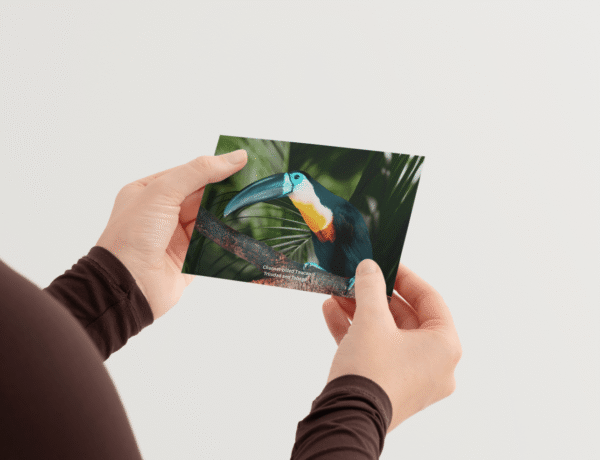 toucan-mockup-2