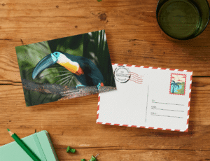 toucan-mockup toucan-mockup
